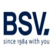 BSV ELECTRONIC